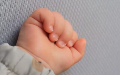 Le SNPPE rejoint les organisations soutenant le manifeste« Pour une délégation aux droits des enfants dans chaque mairie »