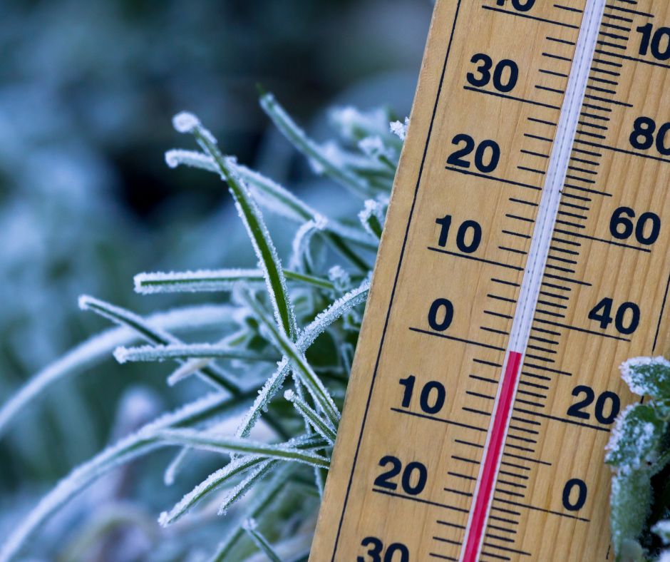 petite enfance froid